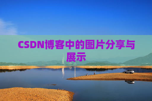 CSDN博客中的图片分享与展示